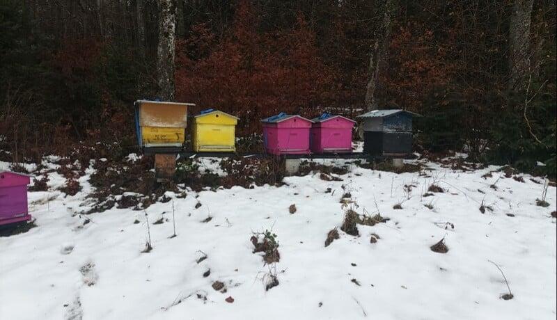 L'hiver est là, le repos pour les abeilles, la grande réflexion pour le comité update