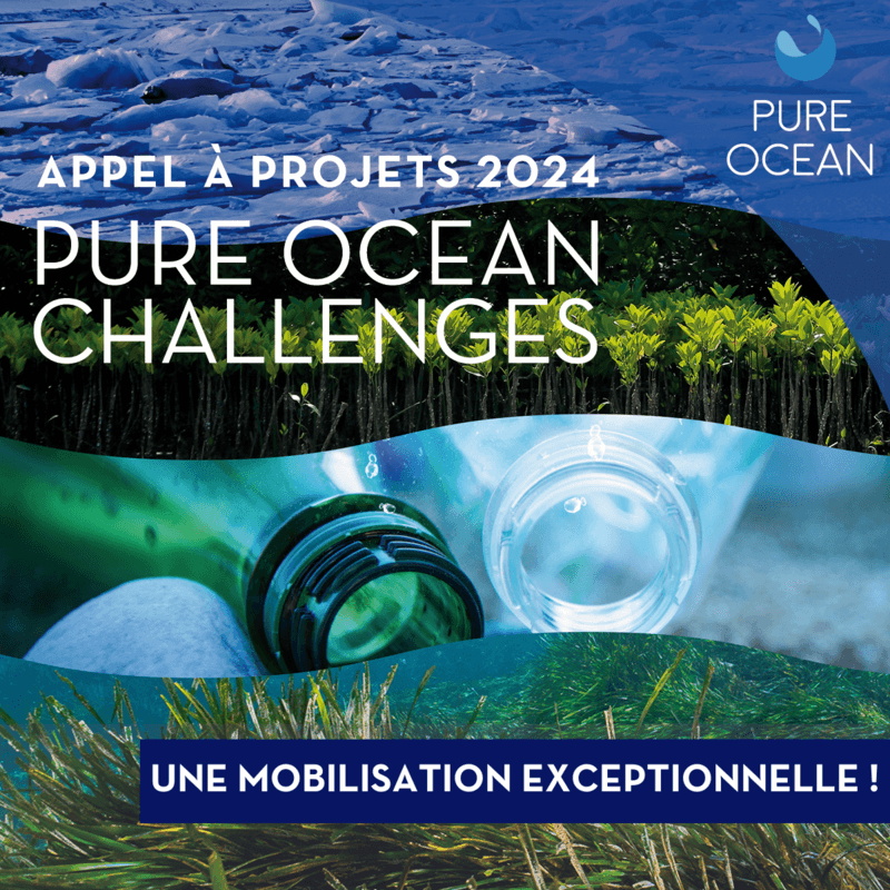 Appel à projets Pure Ocean : une mobilisation exceptionnelle !   update