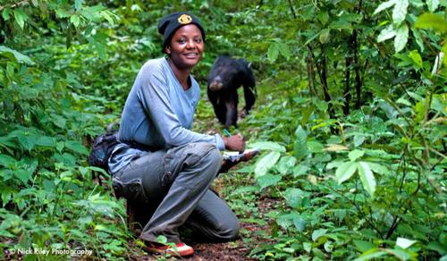 Un corridor écologique pour restaurer la forêt équatoriale africaine