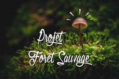 Projet Forêt Sauvage : protéger le vivant !
