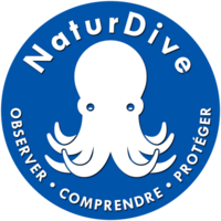 NaturDive logo