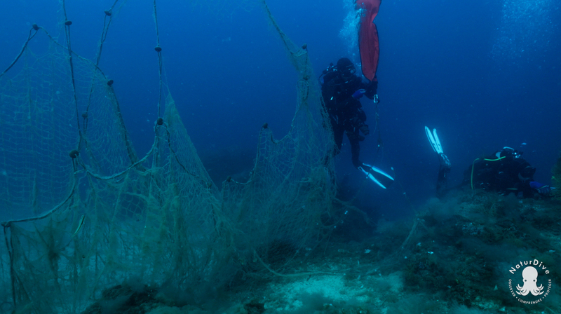 Withdrawal of 3 nets in the Natura 2000 area Antibes, Cannes and Îles de Lérins update