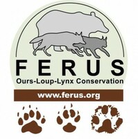 Ferus logo