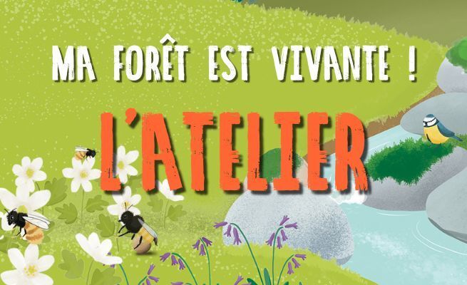 A la découverte de l'écosystème forestier...