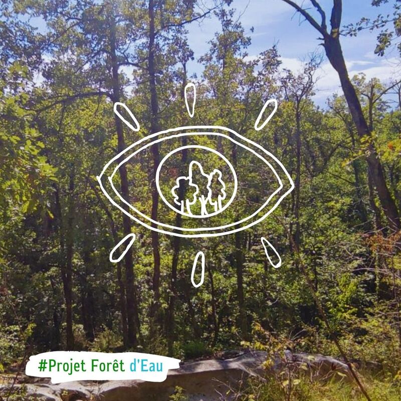 Avec cette 4e forêt nous protégeons près de 15 hectares ! update